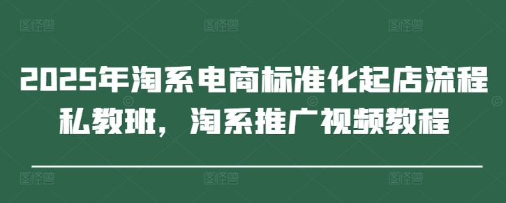 2025年淘系电商标准化起店流程私教班，淘系推广视频教程-腾渊网创
