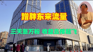 蹭胖东来流量，三天涨万粉，收益直接起飞-腾渊网创