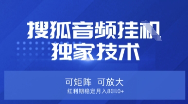【搜狐音频挂G】独家技术，可矩阵可放大，红利期稳定月入8k【揭秘】-腾渊网创