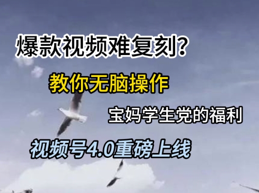 视频号4.0重磅上线，爆款视频难复刻？教你无脑操作宝妈学生党的福利【揭秘】-腾渊论坛