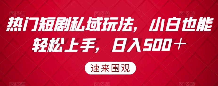 热门短剧私域玩法，小白也能轻松上手，日入500＋-腾渊论坛