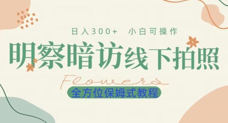 明拍暗拍项目0成本投入日入300+小白可操作保姆式全方位教程-腾渊论坛