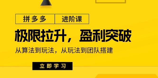 拼多多·进阶课：极限拉升/盈利突破：从算法到玩法 从玩法到团队搭建-18节-腾渊网创