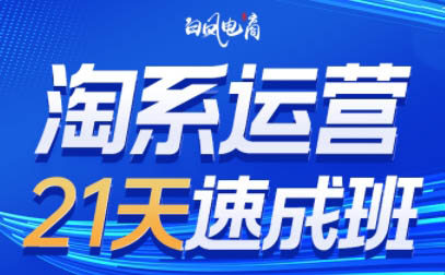 白凤电商·淘系运营21天速成班(更新4月)-腾渊论坛