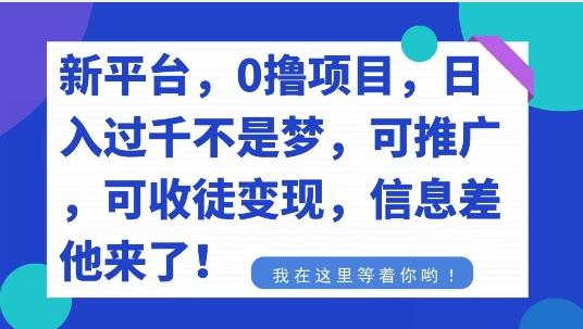 不要再花冤枉钱了，0撸项目，每天坚持，稳定1000+-腾渊论坛