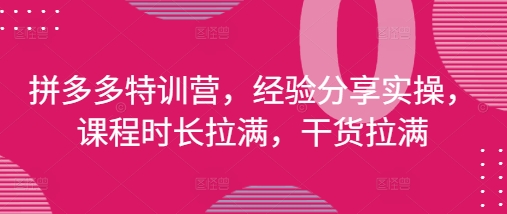 拼多多特训营，经验分享实操，课程时长拉满，干货拉满(更新25年4月)-腾渊网创