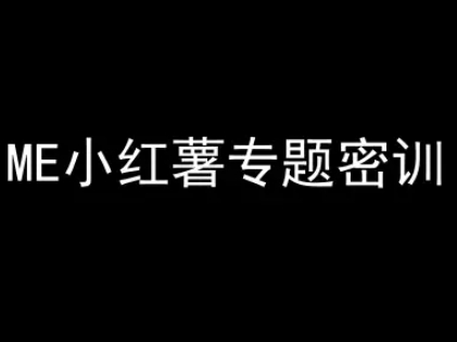 ME小红薯专题密训-小红书电商教程-腾渊网创