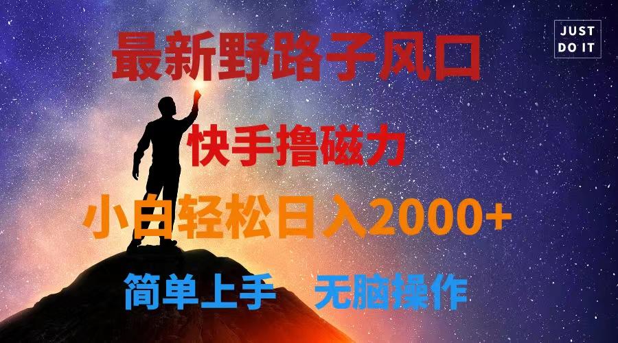 最新风口！快手撸磁力，野路子，小白无脑操作日入2000+-腾渊网创