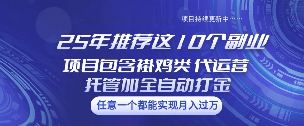 25年推荐这10个副业项目包含褂鸡类、代运营托管类、全自动打金类【揭秘】-腾渊网创