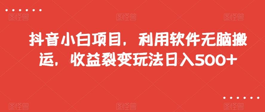 抖音小白项目，利用软件无脑搬运，收益裂变玩法日入500+【揭秘】-腾渊网创