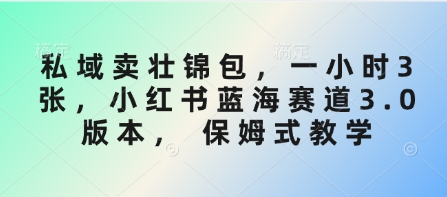 私域卖壮锦包，一小时3张，小红书蓝海赛道3.0版本， 保姆式教学-腾渊网创
