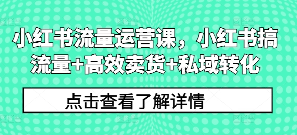 小红书流量运营课，小红书搞流量+高效卖货+私域转化-腾渊网创
