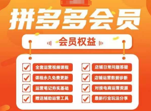 2025拼多多运营实战课，40节全流程教学，覆盖拼多多运营全链路-腾渊网创