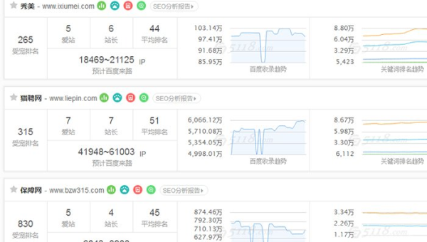 服务器选择与网站 SEO：匹配最佳性能-腾渊论坛