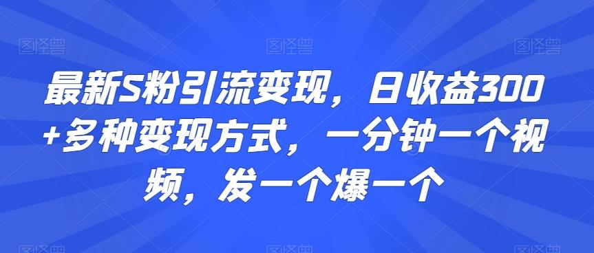最新S粉引流变现，日收益300+多种变现方式，一分钟一个视频，发一个爆一个【揭秘】-腾渊网创