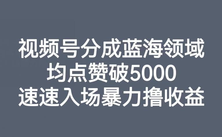 视频号分成蓝海领域，均点赞破5000，速速入场暴力撸收益-腾渊网创