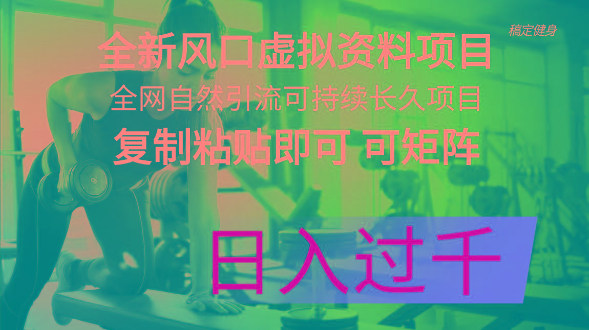 全新风口虚拟资料项目 全网自然引流可持续长久项目 复制粘贴即可可矩阵...-腾渊网创