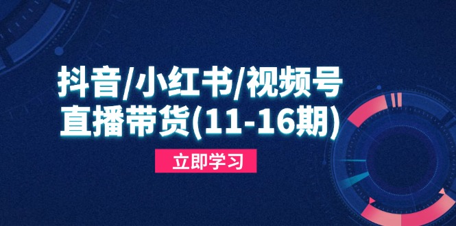 抖音/小红书/视频号/直播带货(11-16期-腾渊网创