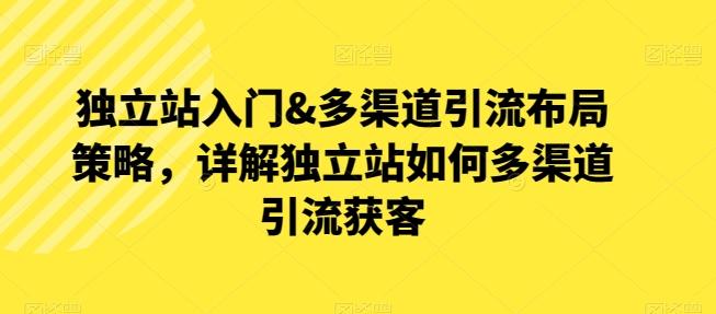 独立站入门&多渠道引流布局策略，详解独立站如何多渠道引流获客-腾渊论坛