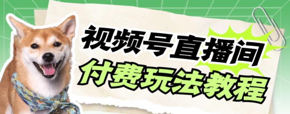 视频号美女付费无人直播，轻松日入500+【详细玩法教程】-腾渊网创