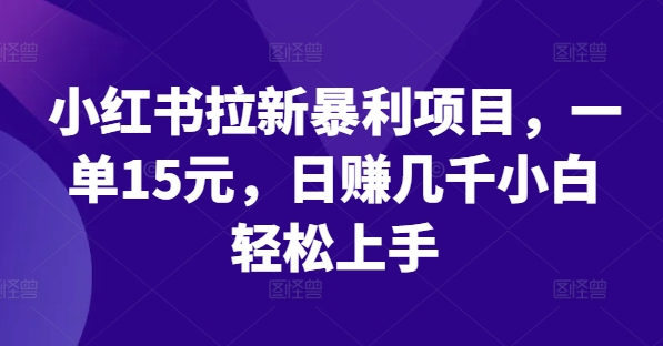 小红书拉新暴利项目，一单15元，日赚几千小白轻松上手【揭秘】-腾渊论坛