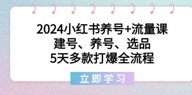 2024小红书养号+流量课：建号、养号、选品，5天多款打爆全流程-腾渊网创