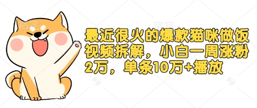 最近很火的爆款猫咪做饭视频拆解，小白一周涨粉2万，单条10万+播放(附保姆级教程)-腾渊网创