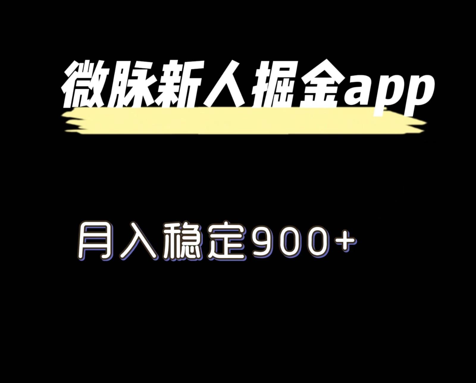 最新微脉长久项目，拉新掘金，月入稳定900+-腾渊论坛