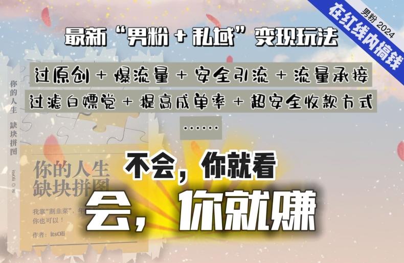 2024，“男粉+私域”还是最耐造、最赚、最轻松、最愉快的变现方式【揭秘】-腾渊网创