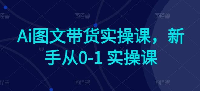 Ai图文带货实操课，新手从0-1 实操课-腾渊论坛