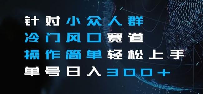 针对小众人群冷门风口赛道，操作简单轻松上手单号日入300+-腾渊网创