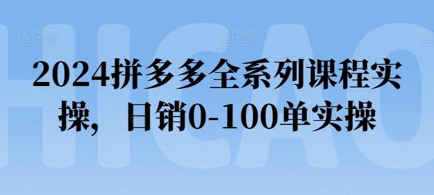 2024拼多多全系列课程实操，日销0-100单实操【必看】-腾渊论坛