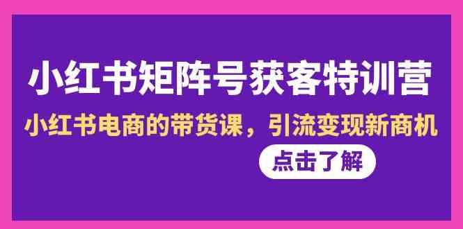 小红书矩阵号获客特训营-第10期，小红书电商的带货课，引流变现新商机-腾渊网创