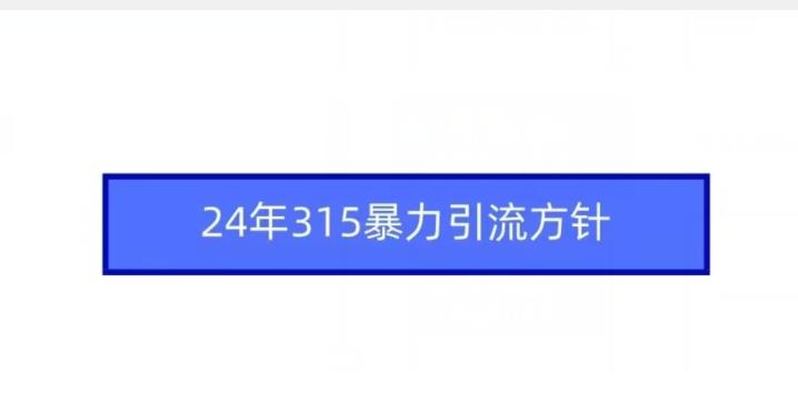 24年315暴力引流方针-腾渊网创