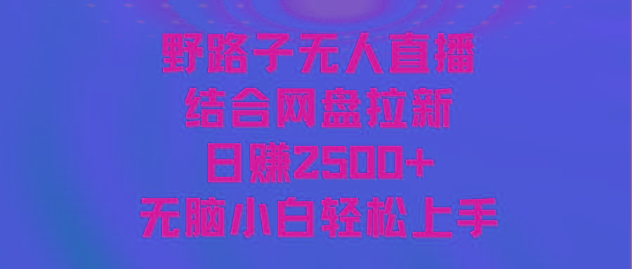 无人直播野路子结合网盘拉新，日赚2500+多平台变现，小白无脑轻松上手操作-腾渊网创