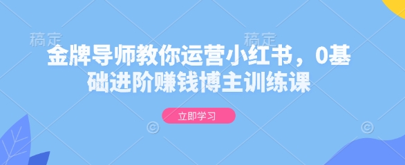 金牌导师教你运营小红书，0基础进阶赚钱博主训练课-腾渊网创