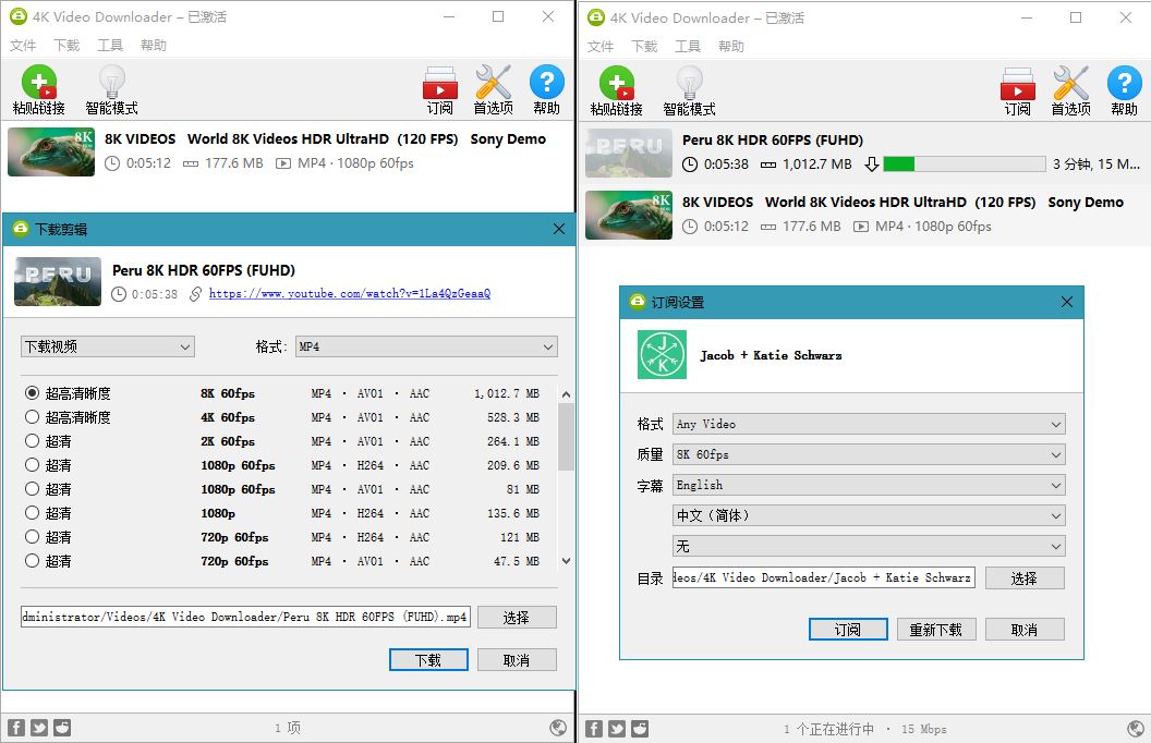 4K Video Downloader v4.33.2.0164-腾渊网创