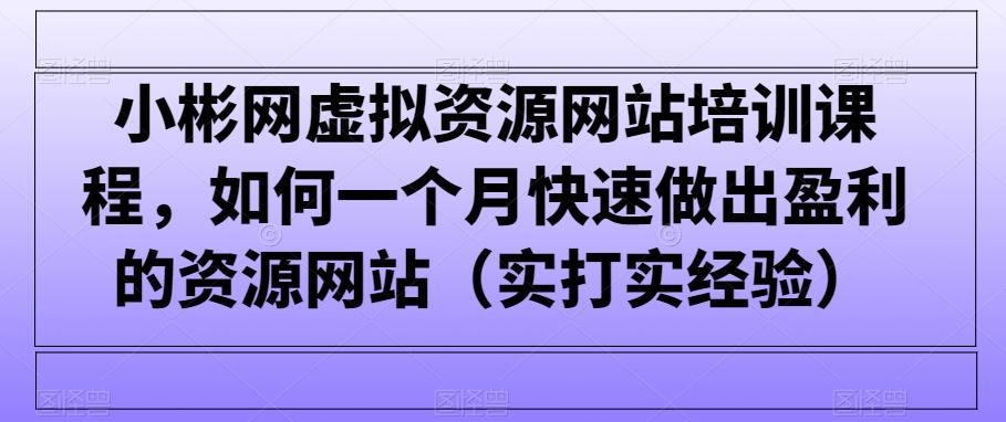 小彬网虚拟资源网站培训课程，如何一个月快速做出盈利的资源网站(实打实经验)-腾渊网创