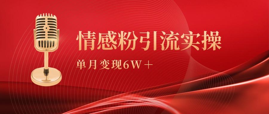 (9473期)单月变现6w+，情感粉引流变现实操课-腾渊网创