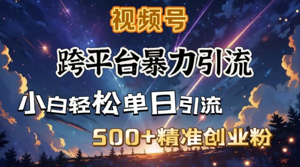 跨平台暴力引流，私域完美闭环，日引500+精准创业粉-腾渊网创
