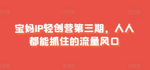 宝妈IP轻创营第三期，人人都能抓住的流量风口-腾渊论坛