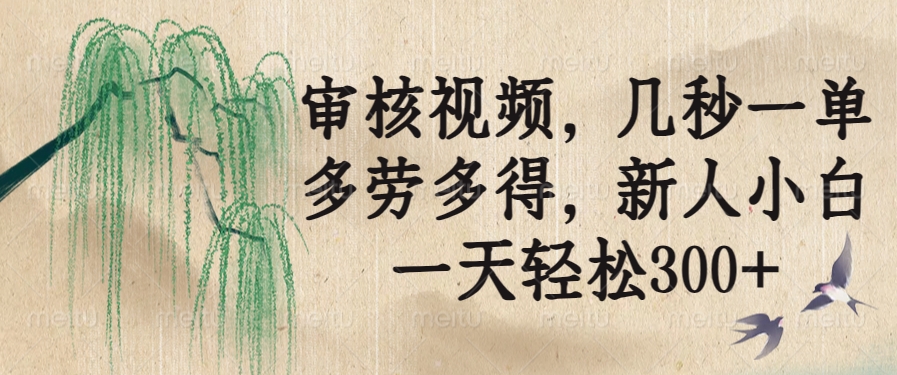 审核视频，几秒一单，多劳多得，新人小白一天轻松300+-腾渊论坛