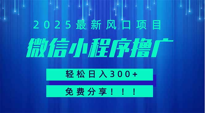 微信小程序撸广，最新风口项目，日入300+ 免费分享 可批量操作 小白可...-腾渊论坛