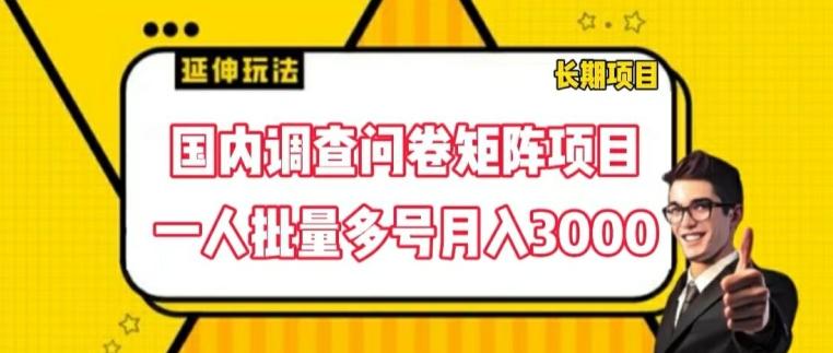 国内调查问卷矩阵项目，一人批量多号月入3000【揭秘】-腾渊论坛