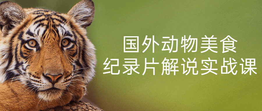 国外动物美食纪录片解说实战课-腾渊论坛