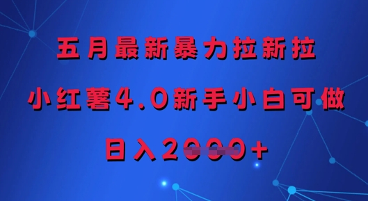 五月最新暴力拉新拉，小红薯4.0新手小白可做，日入多张-腾渊论坛