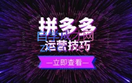 力辛电商·拼多多强付费店群玩法-腾渊论坛
