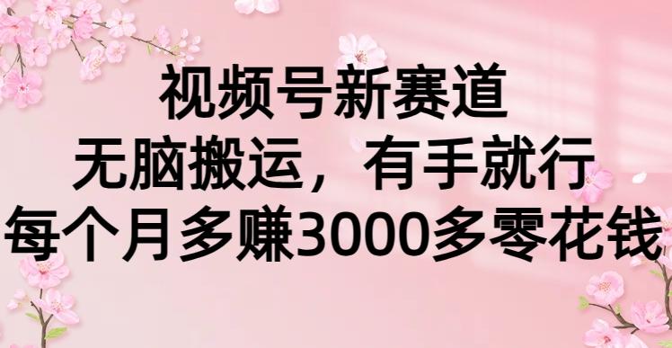(9278期)视频号新赛道，无脑搬运，有手就行，每个月多赚3000多零花钱-腾渊论坛