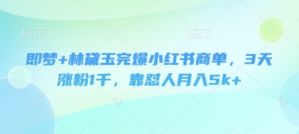 即梦+林黛玉完爆小红书商单，3天涨粉1千，靠怼人月入5k+-腾渊网创
