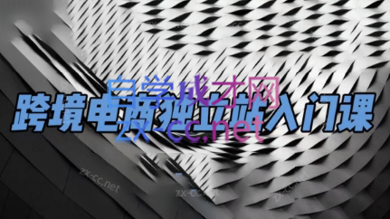 团长·跨境电商独立站入门课(2小时精华)-腾渊网创